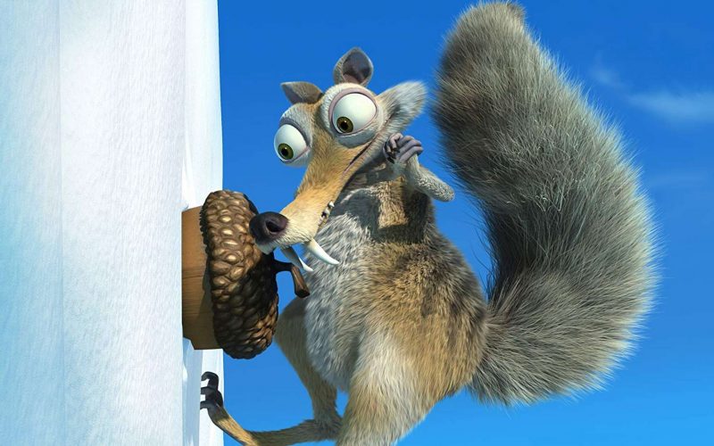 Butterfly_avsec's tweet photo. Des paléontologues retrouvent Scrat, l’écureuil de L’Âge de glace, en Argentine https://t.co/22xHGaPVfG https://t.co/9UIBbq2hLb