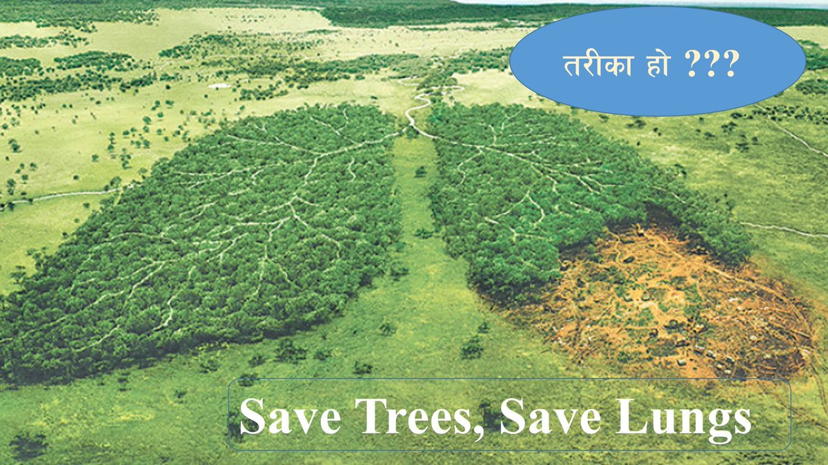 lsw_nepal's tweet photo. #RethinkRingRoad #Savelungs #SaveNijgadh 
@Hello_sarkar
@kantipurdaily
 @Withthewild1
@thehimalayan
@Withthewild1
@LeoDiCaprio
@WWFNepal
 @BasnetShakti1 https://t.co/dwRfhZyAJb
