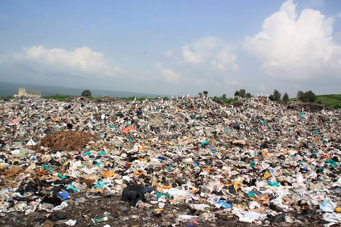 Plastic pollution is claiming lives as well as affecting the tourism sector. Clean ups have failed, #ActNow by investing in concrete solutions.
#BreakFreeFromPlastic 🙋‍♂️🙋‍♀️🌍💪
>>>bit.ly/2ZtdD1E