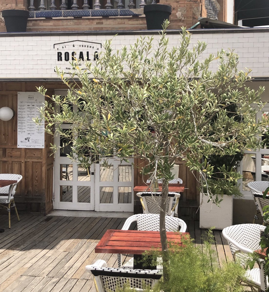 ¡Ya estamos de vuelta tras las #vacaciones! 
🔜 Os esperamos en nuestro #horariodeverano: de martes a domingo de 13:00 a 16:00 h. 
#Rocala #gastrosevilla #restaurantessevilla #gastro #foodies #comerensevilla #saliracenar #ocio #sevillahoy