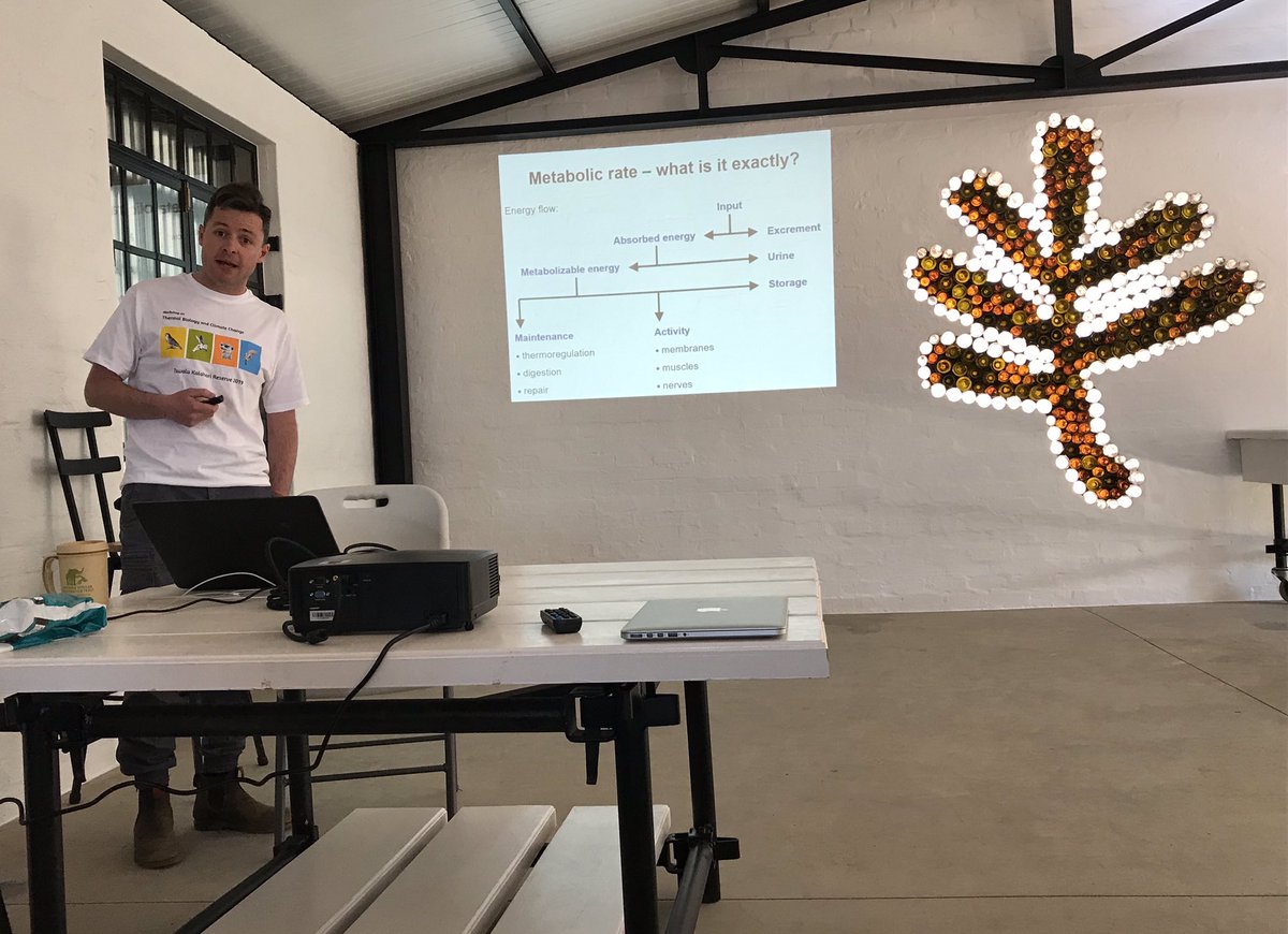 AndreaFuller06's tweet photo. Workshop on Thermal Biology and Climate Change, in the Kalahari! Thanks to @TswaluFdn for the brilliant venue and @WitsUniversity @RobinDrennan for funding. Great interaction between artists and scientists too. https://t.co/gmI6p0u6zy