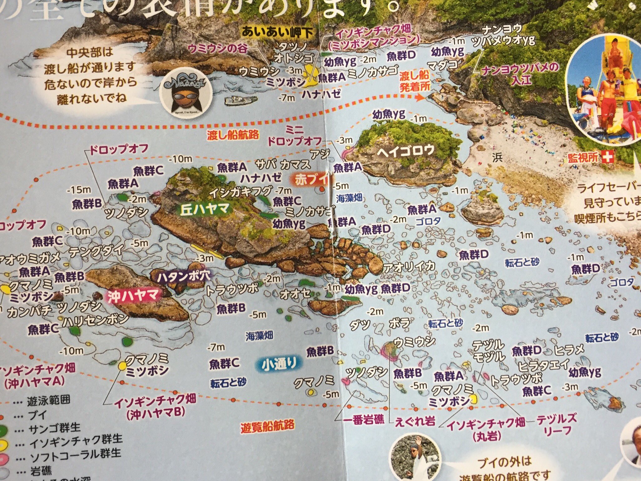 Kt19プロデュース 昨日は 本州で最も綺麗だと言われている南伊豆のヒリゾ浜 今日は弓ヶ浜の隣の逢ヶ浜でシュノーケリングをしました 海は少し濁りが入っていましたが 南伊豆は南へ行く程綺麗なのを実感しました 南伊豆 南伊豆ジオパーク ヒリゾ浜
