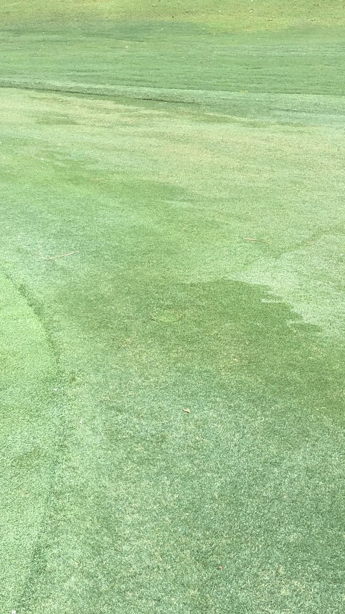 MPoundSTI's tweet photo. When you really need a head in the middle of the approach @ToroGolf #Stealth #Infinity #ToroTuesday https://t.co/07PFwmPRP9
