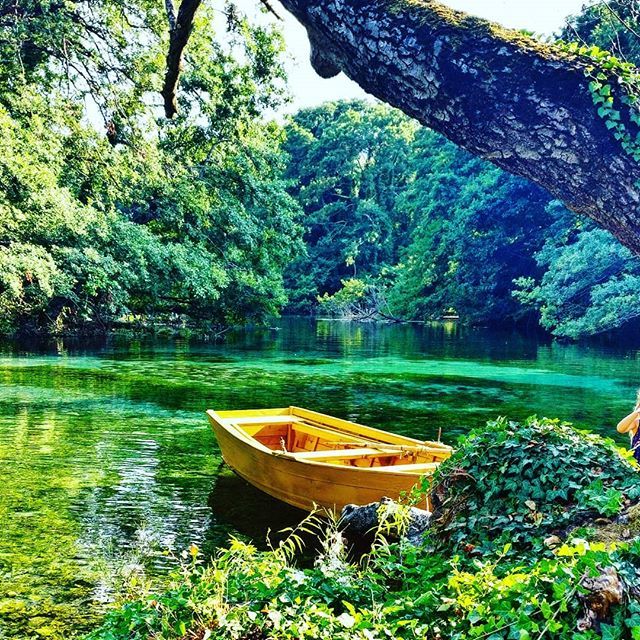 Unipen_Graphic's tweet photo. From St. Naum,  with L💚ve 
#ohrid #svetinaum #ostrovo https://t.co/dhZCrpYLqA https://t.co/5PvlVTVr03