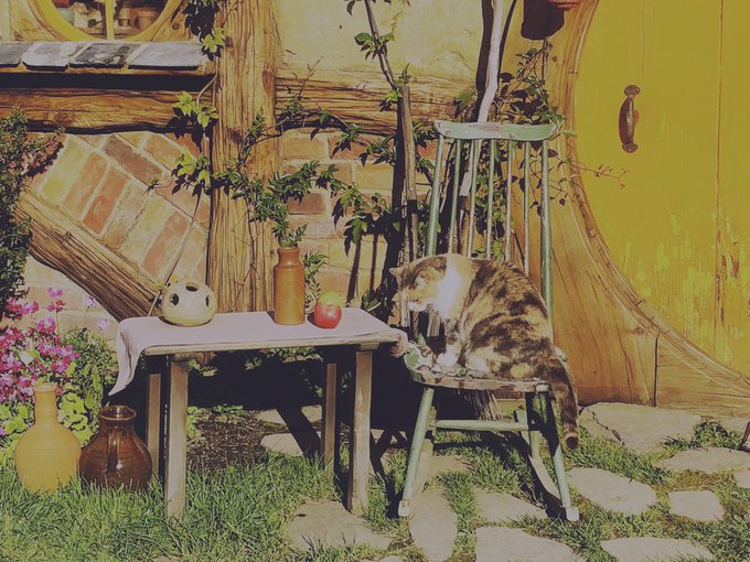 Twitterのコスプレ画像3