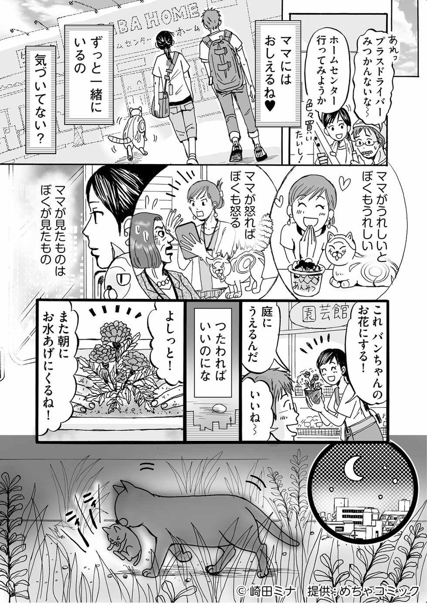 更新しました! 
【世界を止めて】 猫のバンちゃんとのお話《最終回》
第20話「いつまでも」 

第1話から全部無料で読めます。一気読み推奨!
→https://t.co/lKckigPpAy
#めちゃコミック 