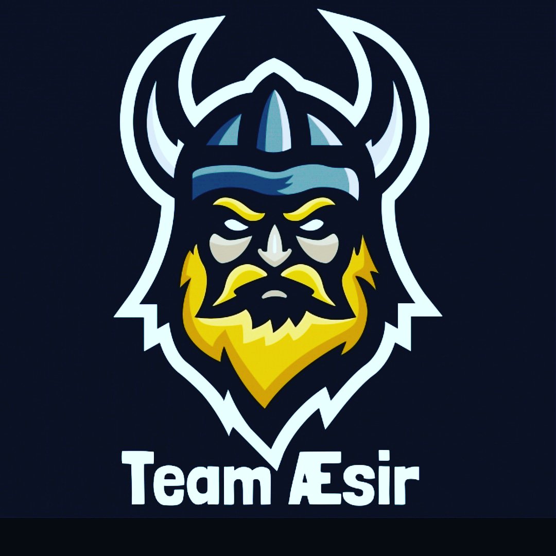 TeamÆsir tweet media