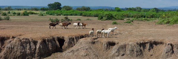 BoswachterRob's tweet photo. Kijk over de grenzen van uw tijdlijn heen en volg:
Restoring Degraded African Landscapes (REDEAL)
@RestoreGrazing
Research helping farming communities in Kenyan highlands reverse grassland degradation. A @GCRFproject funded by @BBSRC #projectREDEAL
Inspiring! https://t.co/oCYV3EkfkZ