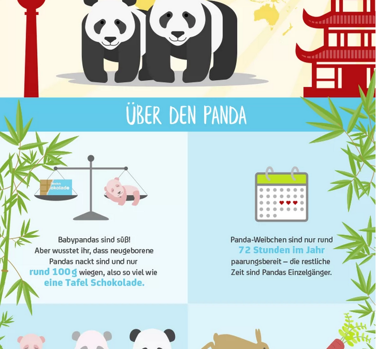 Visit Berlin On Twitter Berlin S Panda Dame Meng Meng Ist