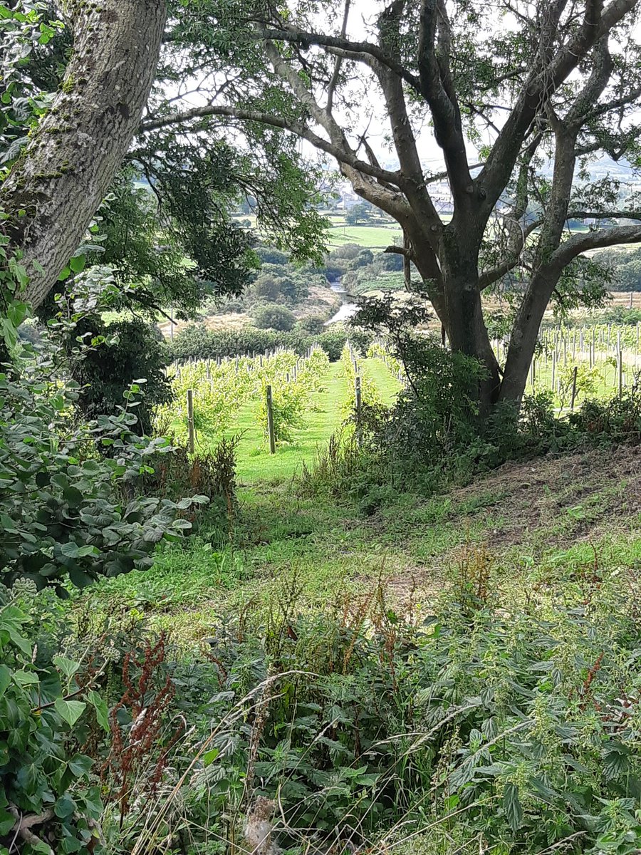 Emily Peach tweet media