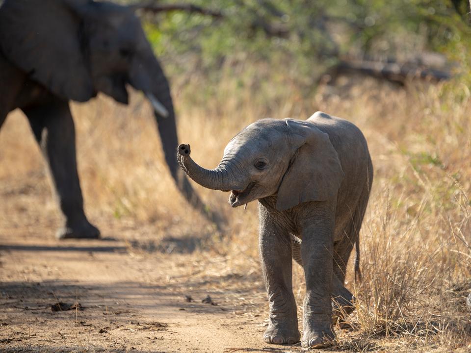 EU Environment tweet media