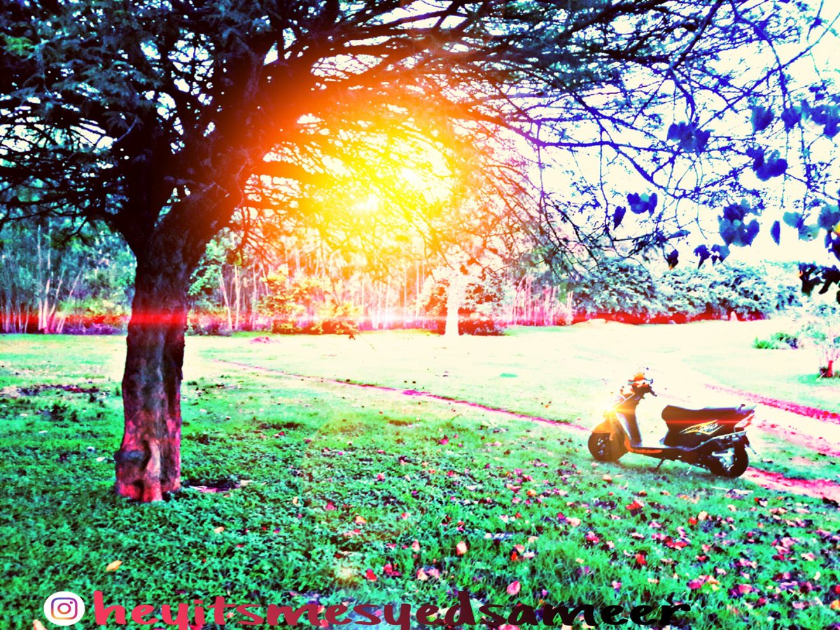 SSyedvlog's tweet photo. #Nature lover❤ https://t.co/VsYJArHeY0