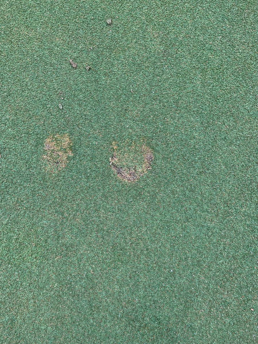 River Hills CC Agronomy tweet media