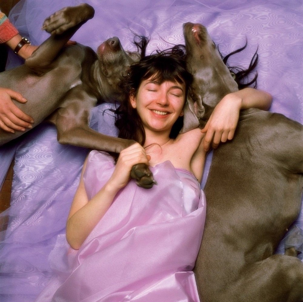 Le Cinéma on Twitter: "Kate Bush with her dogs Bonnie and Clyde in outtakes from the “Hounds of Love” cover shoot, 1985. © John Carder Bush https://t.co/gQP5476uvW" / Twitter