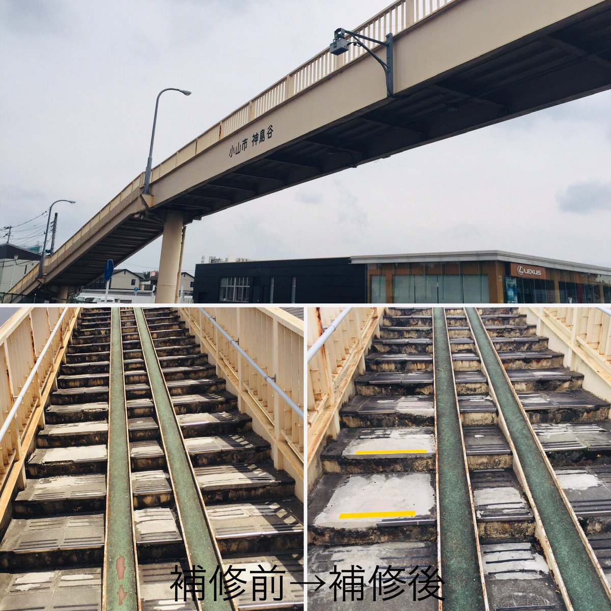 神鳥谷 Twitter Search