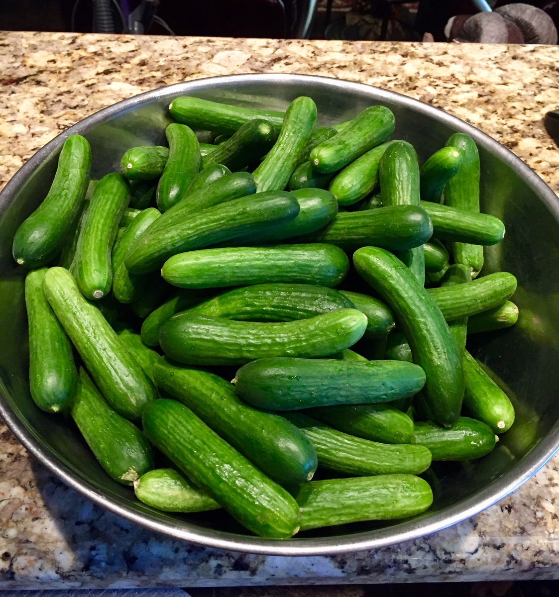 Cottage Cheese Pickles Cottagepickles Twitter