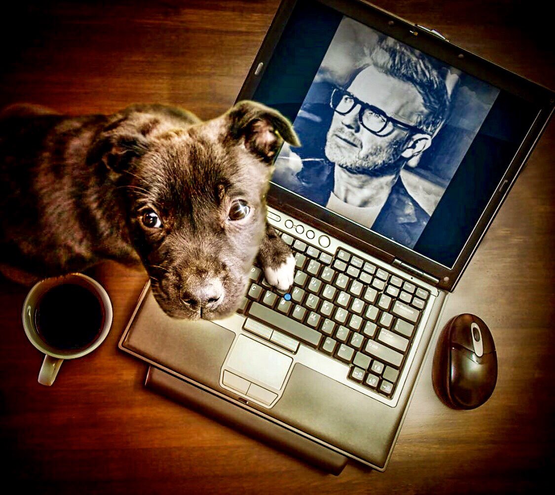 ACanadine's tweet image. I’m gonna start my ....
Get @GaryBarlow to meet my beautiful wife @suecanadine campaign right here,
So if you see this tweet please like and retweet as Sue has made a promise that she will buy me a dog if she gets a Barlow hug 👍 #TakeThat #GaryBarlow #GBSolo #NationalDogDay2019