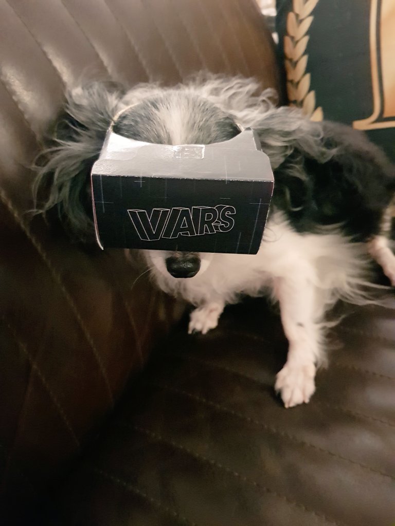 katethetinydog's tweet photo. My daddy's designer colleague, Maria, made me a #VR360 #google #googlecardboard for me just so I can watch #disney #ladyandthetramp. Do not disturb, please. Thank you, you Kthanxbye! #dogsoftwitter #dogsofinstagram https://t.co/R1JppOc3nr