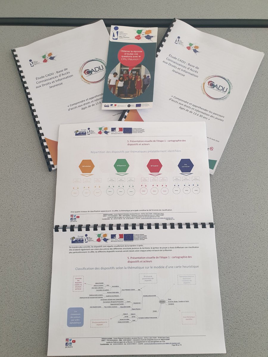 CRIJ974's tweet photo. Présentation ajd de notre projet #CADIJ recensement des acteurs et des #dispositifs #jeunesse . 2650 acteurs, 980 actions et dispositifs répertoriés avec le soutien @Prefet974 @ActionLogement  et #DJSCS #LaRéunion
#Minsérer #CADIJ #InfoJeunesse https://t.co/yf6HURJx9i