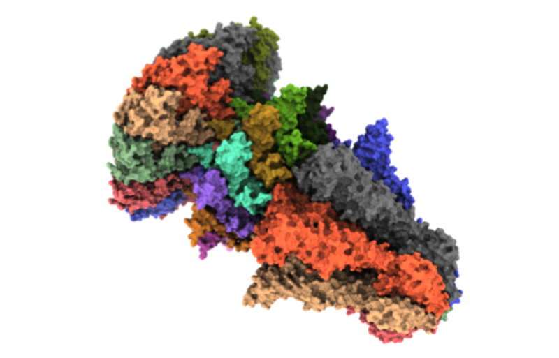 PCB_UB's tweet photo. Researchers from @IRBBarcelona at @PCB_UB, @CNB_CSIC and #IBMBCSIC decipher the structure and mechanism of a key complex involved in #bacteriophage T7 infection, combining the #cryomicroscopy and #crystallography techniques ▶️https://t.co/RHqHbTwkY9
@CSICCat @CSIC @NatureComms https://t.co/VqRjLLQeQ1