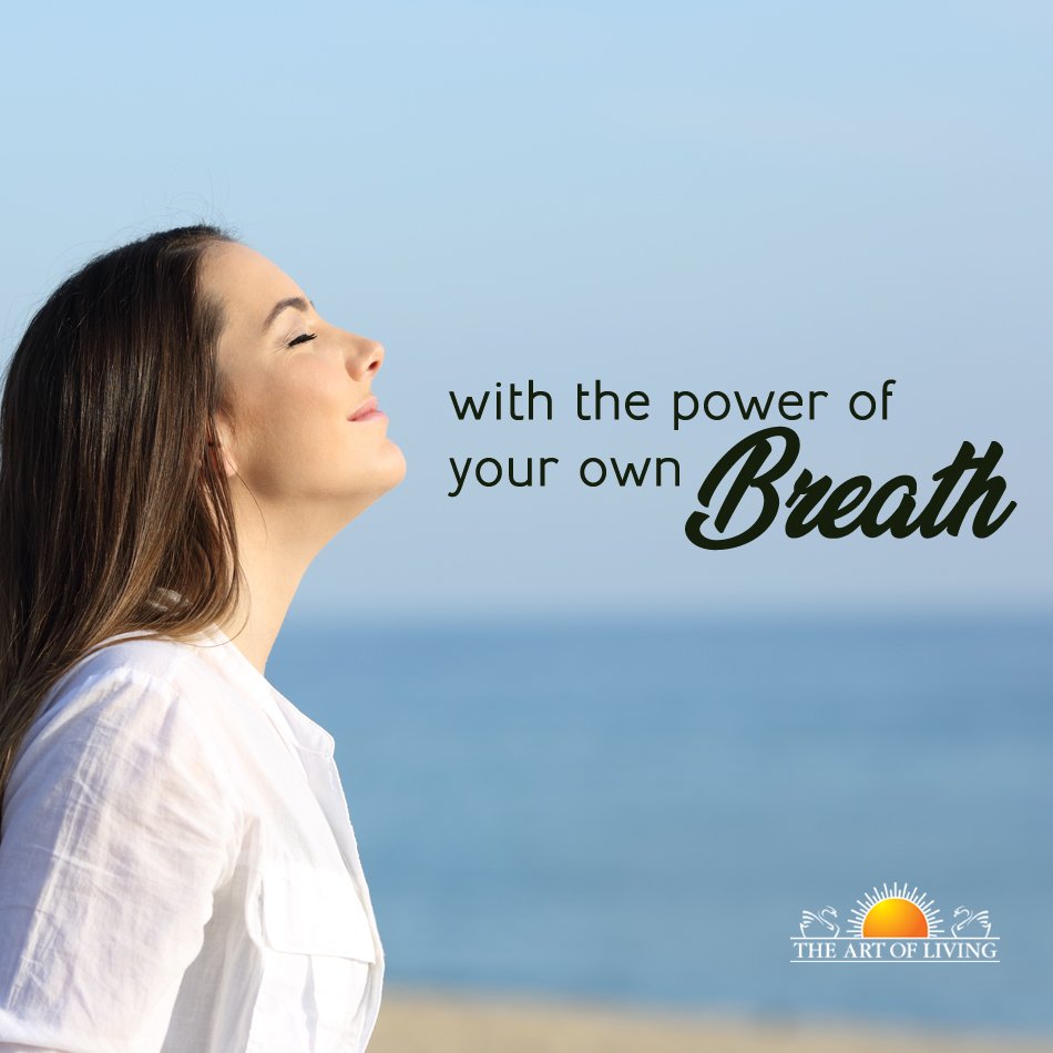what is art of living sudarshan kriya what is art of living sudarshan kriya