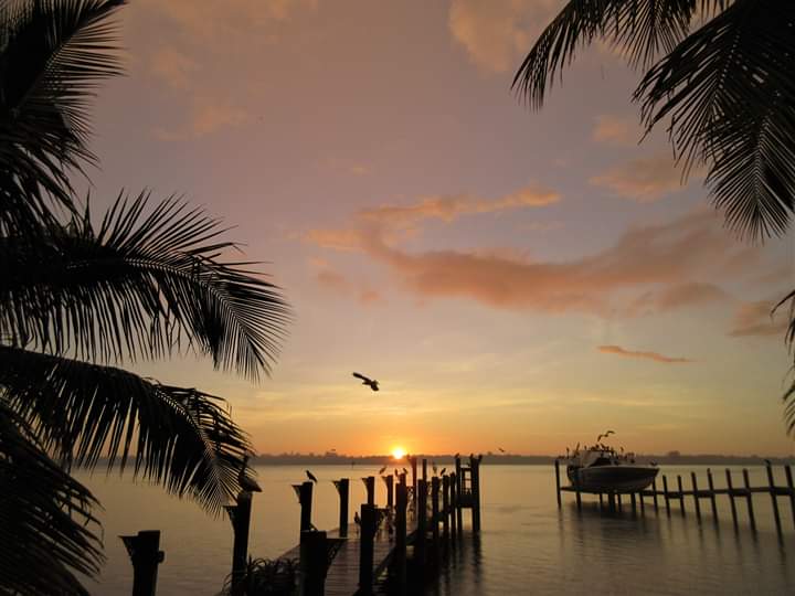 VivaSarasota's tweet photo. #SiestaKeySunrises #ThanksCharlie #VivaSarasota @wfla @SNNTV @mysuncoast #WFLA #SNN #MySuncoast #LoveSrq #LoveFL #LoveSK #SharetheLoveSrq #SharetheLoveSK #Sarasota #SarasotaFlorida #Srq #SK #SiestaKey #SiestaKeyBeach #Live941 #4Srq #4Sarasota #GoodMorningSrq #GoodMorningSunshine https://t.co/1CXGAG3HZU