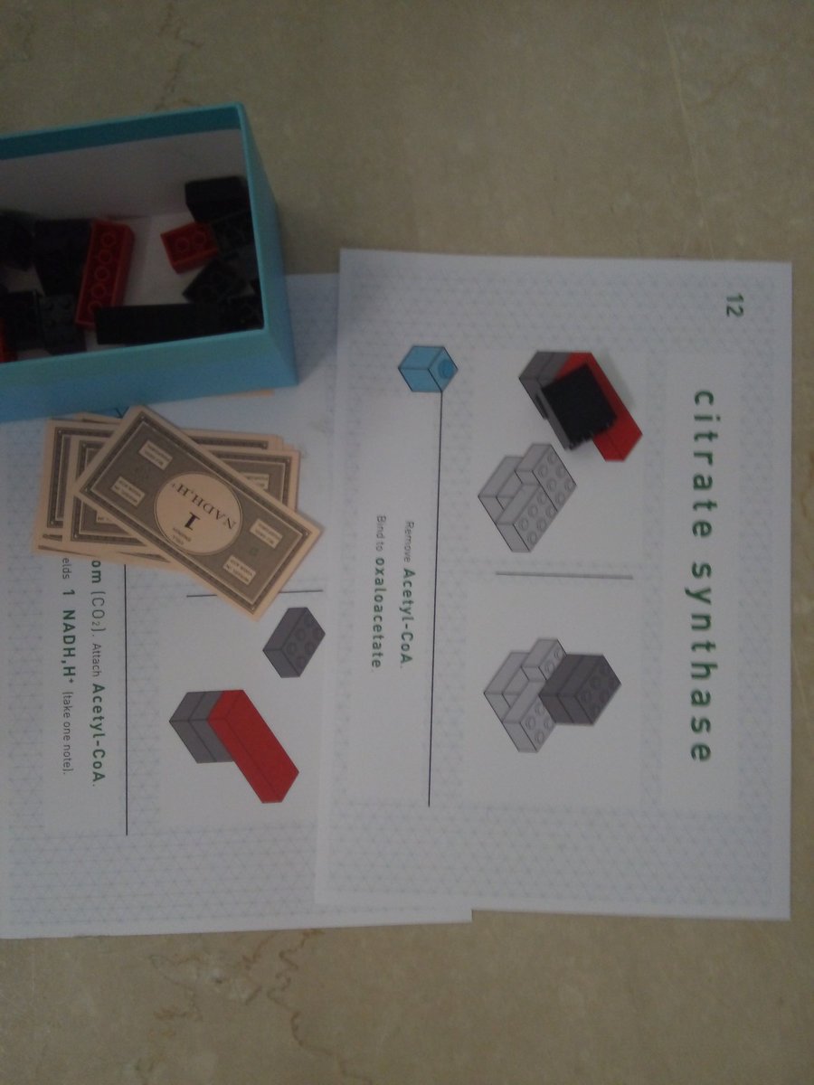 jdomenechca's tweet photo. @aprendociencias Y la casualidad es que... unos días después descubro en @esera2019 #esera2019 mas pirados de los Legos y la bioquímica #LifeBricks https://t.co/XXTFiWtYlI