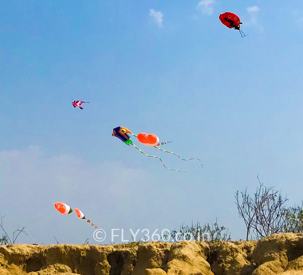 NisargAShah's tweet photo. Some clicks from amazing #kite #flying #festival for #up #india #tourism
https://t.co/tfEQ2aP4H6

#fly360 #kitefestival #startup #Innovation #branding #creativity #Marketing #Networking #advertisingandmarketing #travel #event #kiteflyer #hobby #design #beach #entrepreneurship https://t.co/b3CWwVS5BB