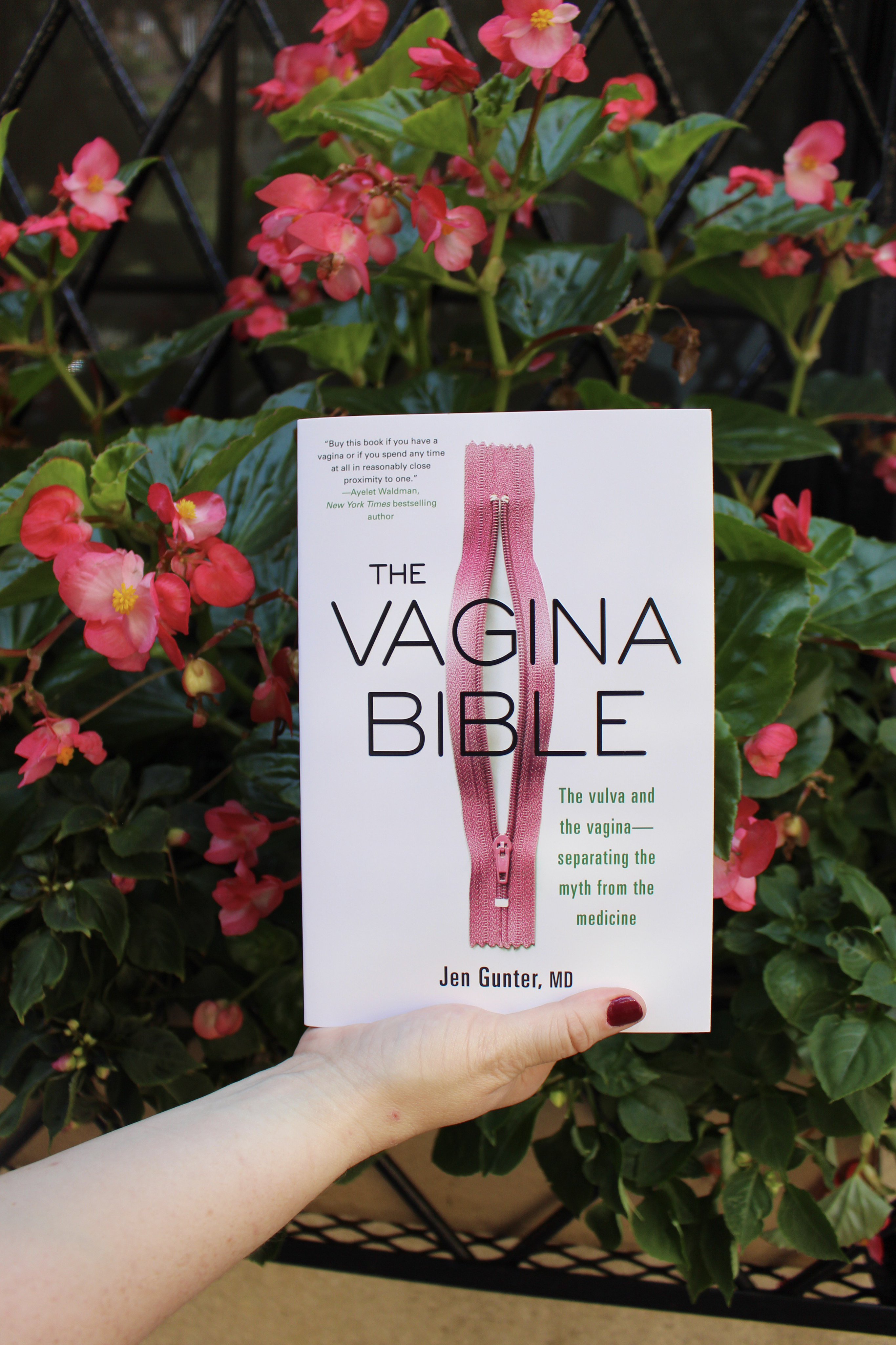 EC-mcDIWkAAXTBk?format=jpg&name=4096x409