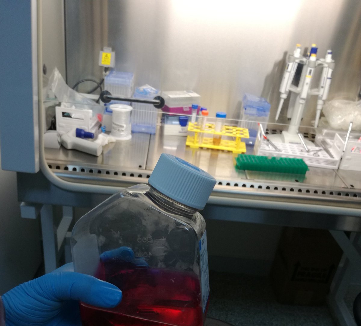 "خارج حدود أحلامنا..
تبدو الحياة مجرد منفى"

 😴