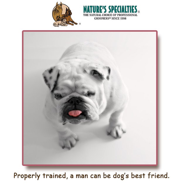 See all of our Products: naturesspecialtiesmfg.com 
#NaturesSpecialties #PetProducts #PetCare #Pets #PetSupplies #Groomers #DogsAndCats