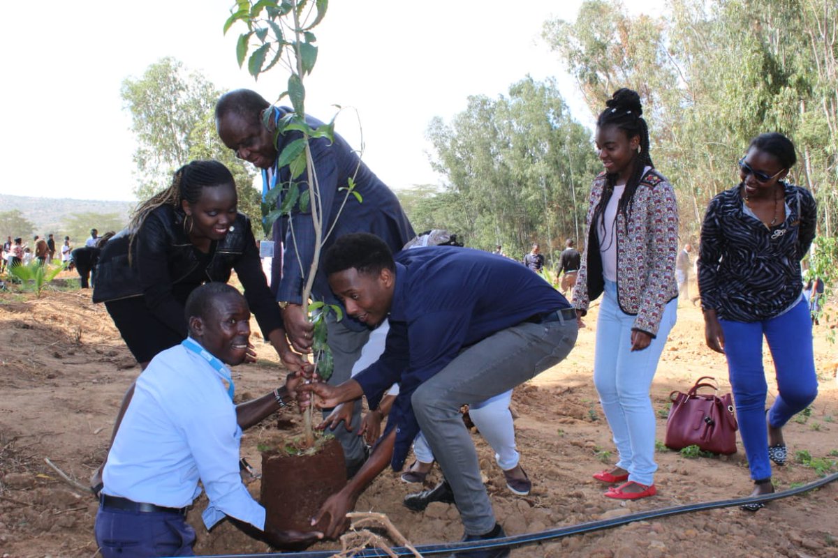 Involvement Newspaper tweet media