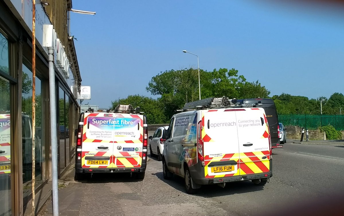 Damsel Fly tweet media