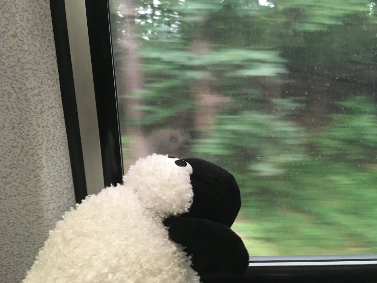 woolly_wilson's tweet photo. Heading up to #Philly for the @aaslh conference and riding on an @amtrak #train for the first time! I wonder what Iβll see? #aaslh2019 #museummascot #sheeponthemove https://t.co/TRogWWHBVW