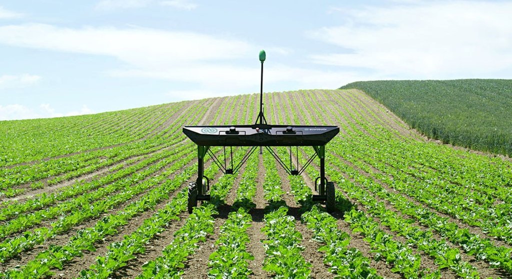febrapdp's tweet photo. "Nada está parado na agricultura brasileira. Pelo contrário. De 2009 a 2013, os defensivos biológicos e orgânicos representaram 13% do total de produtos registrados pelo MAPA, no período." https://t.co/tICXlrDBtJ https://t.co/Ubg2B4xvoe