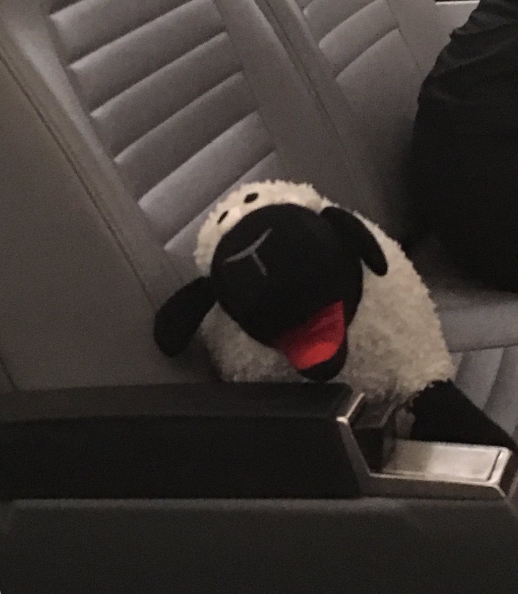 woolly_wilson's tweet photo. Heading up to #Philly for the @aaslh conference and riding on an @amtrak #train for the first time! I wonder what Iβll see? #aaslh2019 #museummascot #sheeponthemove https://t.co/TRogWWHBVW