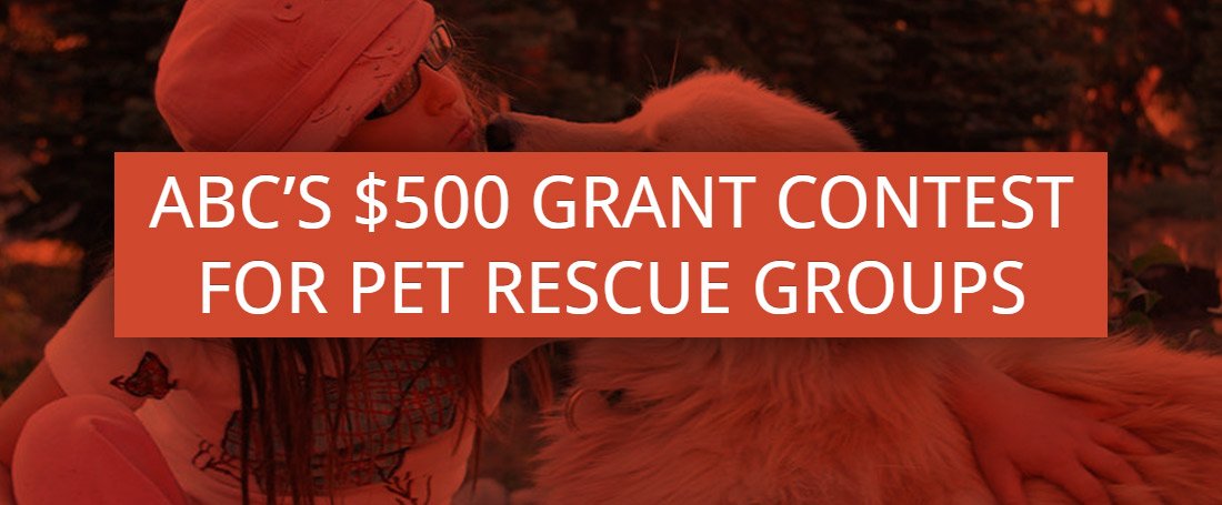 ANIMALBASEDCHARITIES tweet media