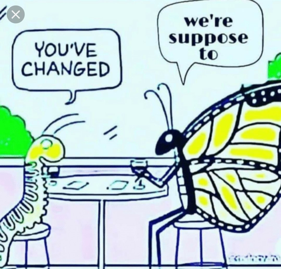 Peopleschampde1's tweet photo. #BeBetter #TransformationTuesday @evv_cc @BirminghamDMDR https://t.co/AEp3sK4vel