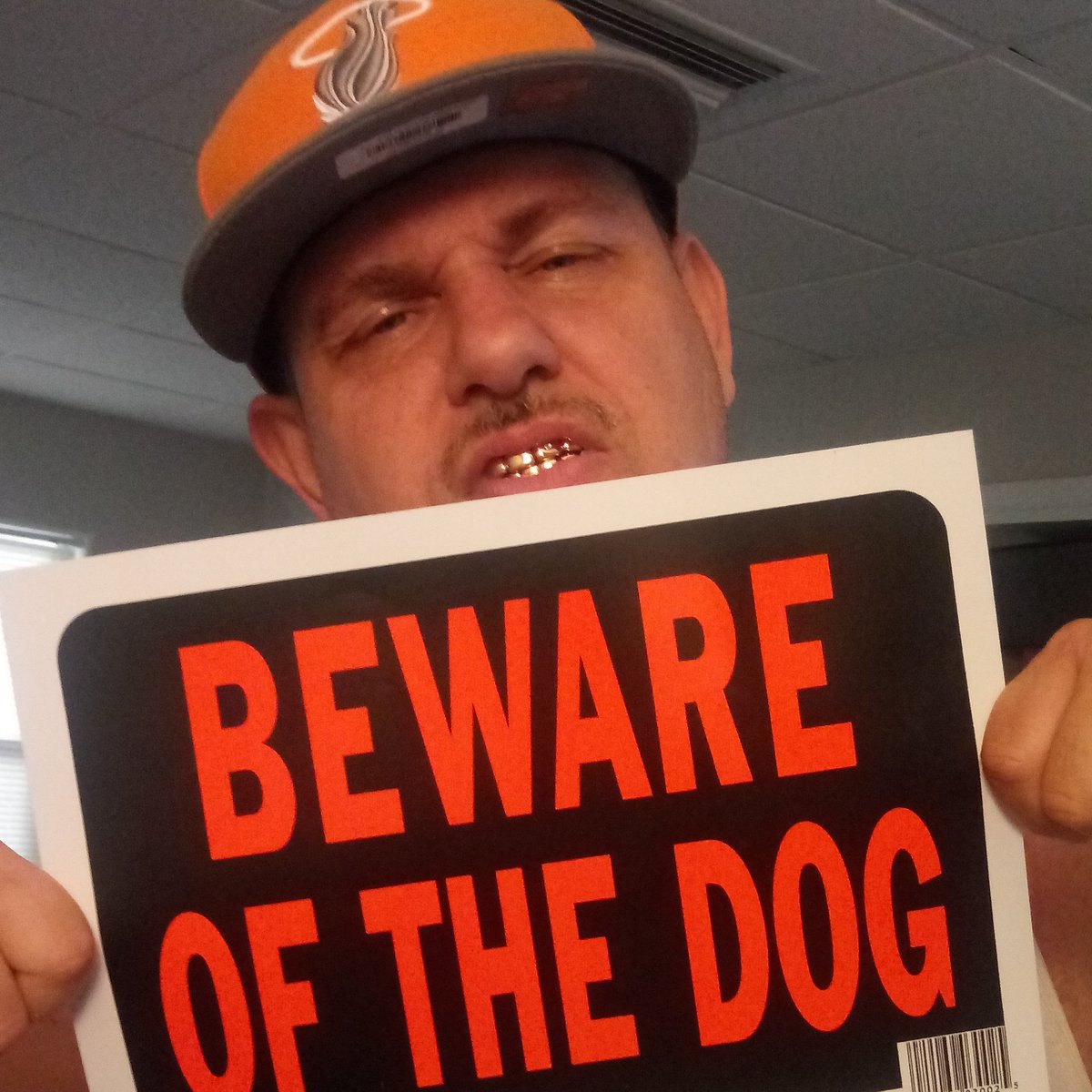 RAYLO561's tweet photo. #demdamndogs https://t.co/kDausmGKBT