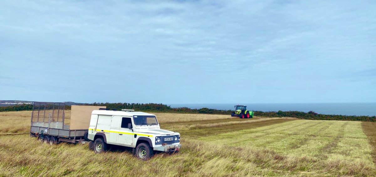 Hay meadow creation for <a href="/NTWales/">Niaz Taj</a> in #Pembrokeshire. #teamkehoe