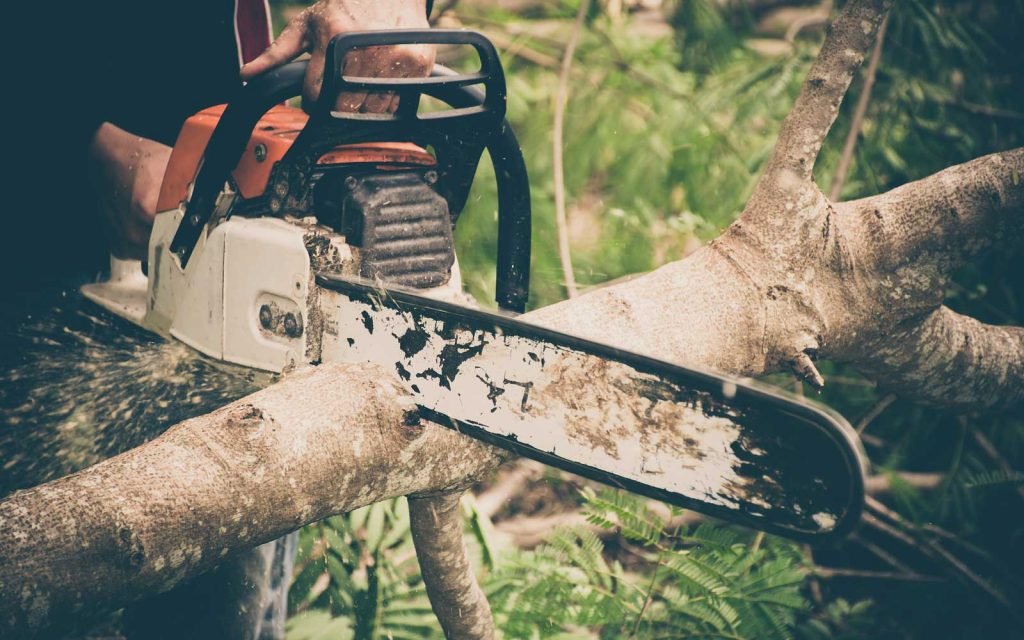 ExecLandscaping's tweet photo. While many homeowners see the cost to have a tree removed by a professional as an unnecessary expense, it's essential to realize that larger trees can often be dangerous to handle unless you have at least some degree of expertise.

https://t.co/Ow3tpo1QDv https://t.co/xt7NuscXhu