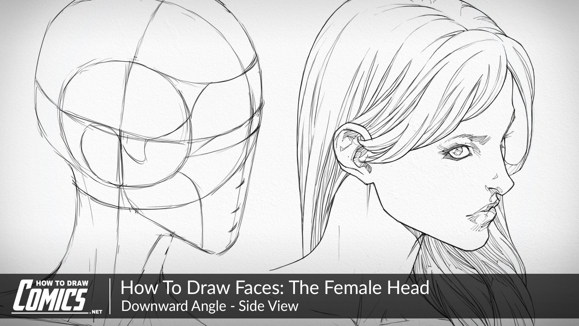 Clayton Barton - HowToDrawComics.NET on X: In this class you'll learn how  to draw the female head, face and facial features from the top down, side  view. Click the link below to