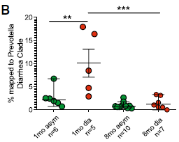 GenomeBiology's tweet photo. Rhoades, Messaoudi and co examined the rectal microbiome of infant rhesus macaques. It was possible to predict those that would go on to have diarrhea: certain Prevotella strains are associated with future diarrhea. Possible application to human babies https://t.co/F0Jp346ZpD https://t.co/K7tpXUFBZ4