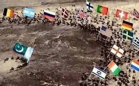 RNJ76_'s tweet photo. اس وقت حالت یہی ہے۔
تو کیوں نہ اب پاکستان وہ کرے جو ہمارے مفاد میں ہے۔
مکہ مدینہ کے علاوہ کسی کی حفاظت کا ذمہ نہ لے
اور کشمیر پر اپنی خارجہ پالیسی جارحانہ کرے،
عربوں کو تب ہی احساس ہوگا جب انکی انڈیا میں انویسٹمنٹ کو خطرہ ہوگا
#StopModiSaveKashmir
#ModiTerrorismInKashmir https://t.co/eA7GB9A1LZ