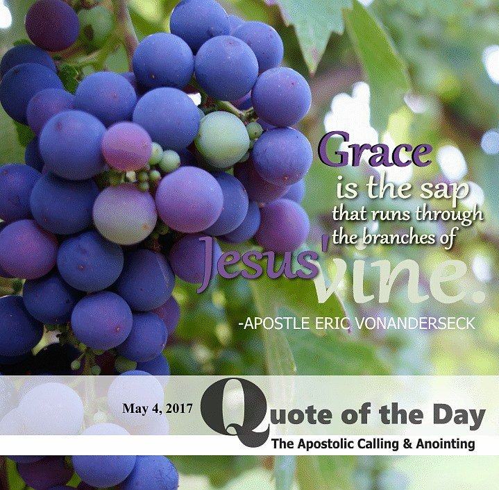 apostlejohn's tweet image. God did not provide Christ for escaping the contradictions of this dimension but for the forming of His fruit in the soul to be received back to Him.

#priesthoodkeys #modernProphets #prophetofgod #sundaymorning #prophetic