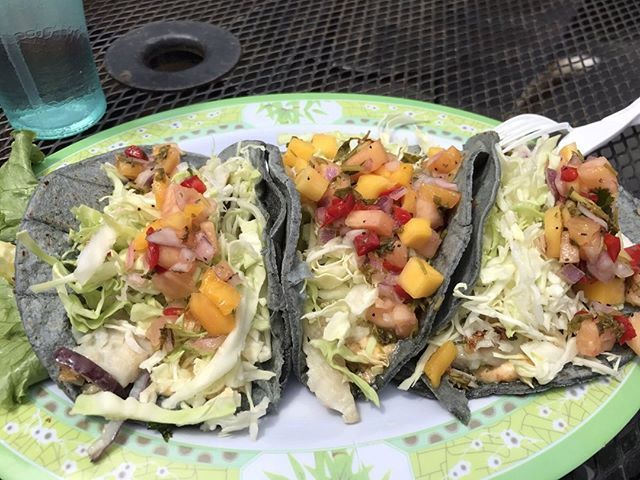 YelpSLO's tweet photo. Blue corn tortillas!⁠
⁠
#FrutilandLaCasaDelSabor⁠
.⁠
.⁠
.⁠
#slo #slocal #sanluisobispo #pasowine #pasorobles #atascadero #santamargarita #templeton #morrobay #avilabeach #pismobeach #pasorobles #centralcoast #california #slocal #calpolyslo #insta… https://t.co/JerTOD3Vna https://t.co/zb1W8ZgKwT