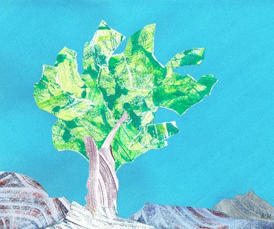 Recycling again.  This print collage was assembled from old prints which didn't meet my standards.  I am very happy with the outcome.