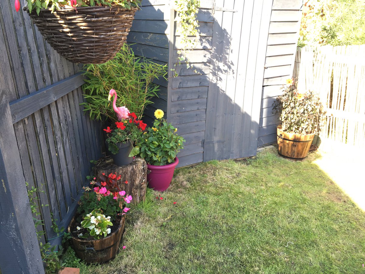 traz_mac's tweet photo. Loving the chance to spend a wee day in the garden. Mind you, Iβm sick of just getting on top of it only for it to rain for days & then the weeds are back. π Gin is the answer right? #weeding #grasscutting #shedtidying #whitleyneil https://t.co/4DRXD3umsJ