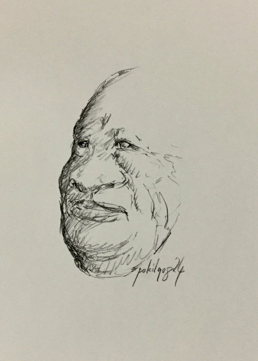 ট ইট র ぽき Poki 小さい顔と大きな顔 シャーペン ボールペン イラスト スケッチ 創作 Illustration Drawing Sketch Art Fantasy Fantasyart Fairyart