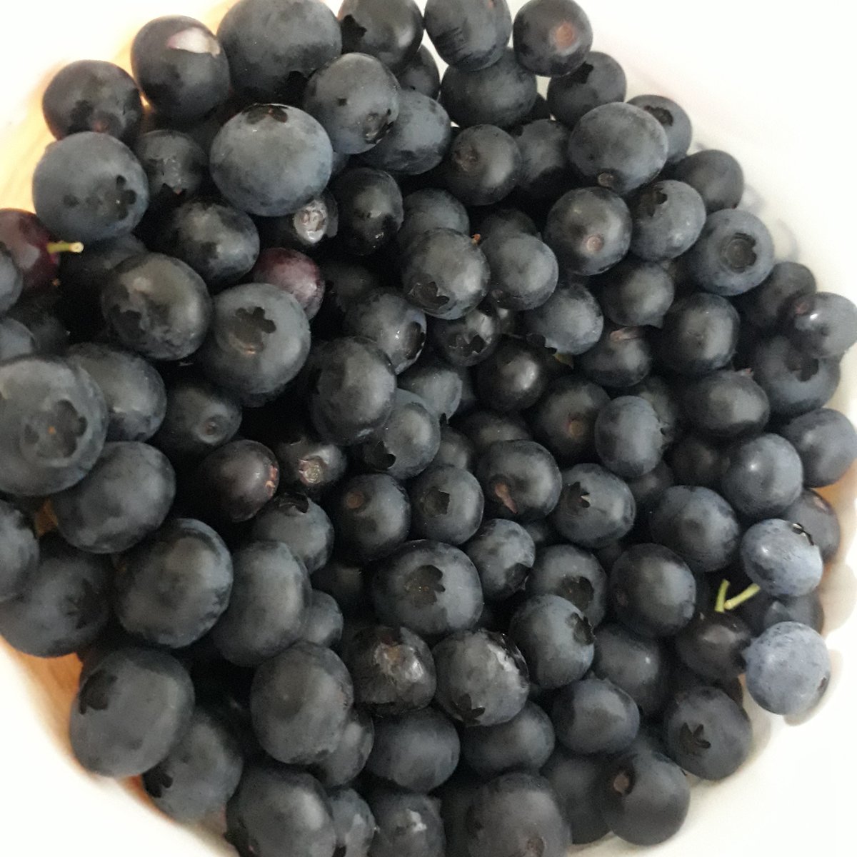 XaviSuomi's tweet photo. Finnish way of Sundays with blueberries straight from the forest.

#SundayThoughts 
#SundayMorning #FelizDomingo https://t.co/HsJbFuew9R